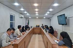 عملکرد مراکز خدمات جامع سلامت مروارید و نرده شهر پایش شد
