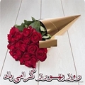 پیام تبریک دکتر محمد رسول تقوی به مناسبت روز بهورز