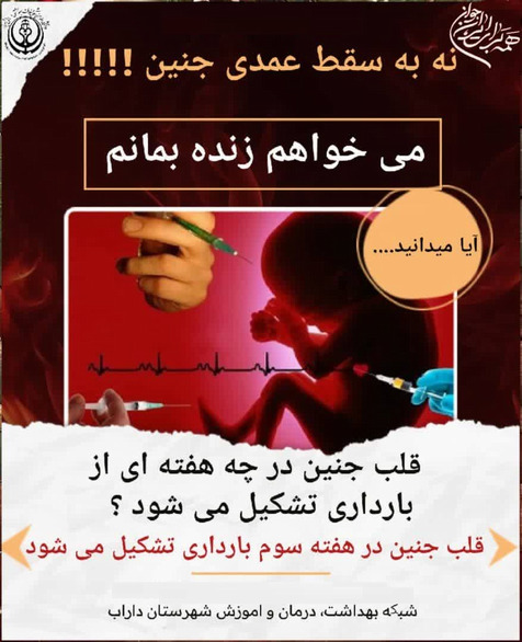 سقط خود به خودی جنین 5